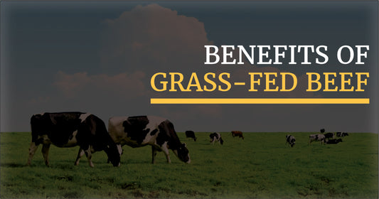 Benefits of Grass-Fed Beef.